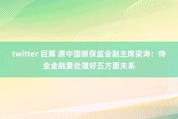 twitter 巨屌 原中国银保监会副主席梁涛：待业金融要处理好五方面关系