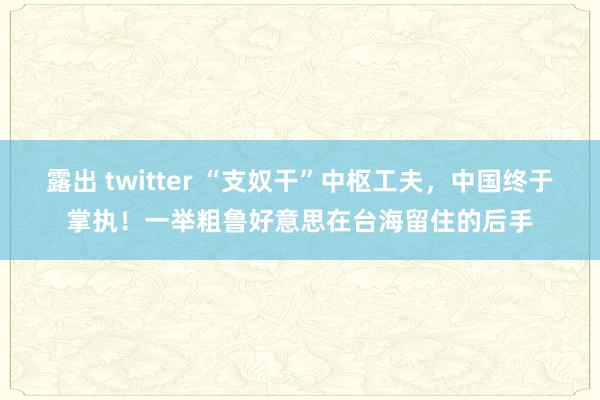 露出 twitter “支奴干”中枢工夫，中国终于掌执！一举粗鲁好意思在台海留住的后手