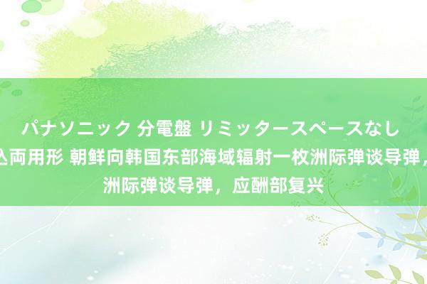 パナソニック 分電盤 リミッタースペースなし 露出・半埋込両用形 朝鲜向韩国东部海域辐射一枚洲际弹谈导弹，应酬部复兴