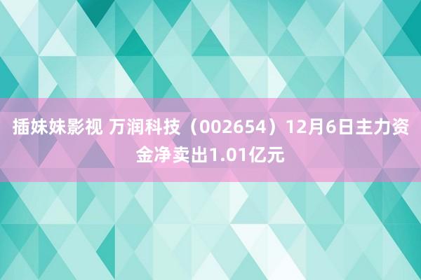 插妹妹影视 万润科技（002654）12月6日主力资金净卖出1.01亿元