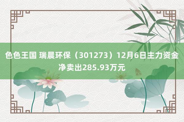 色色王国 瑞晨环保（301273）12月6日主力资金净卖出285.93万元