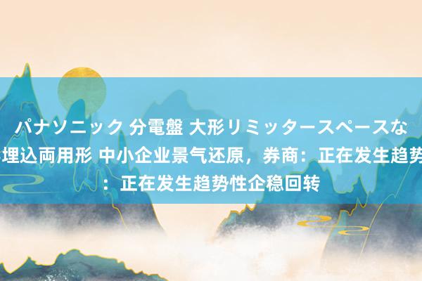 パナソニック 分電盤 大形リミッタースペースなし 露出・半埋込両用形 中小企业景气还原，券商：正在发生趋势性企稳回转