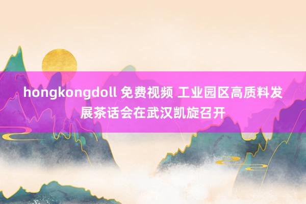 hongkongdoll 免费视频 工业园区高质料发展茶话会在武汉凯旋召开