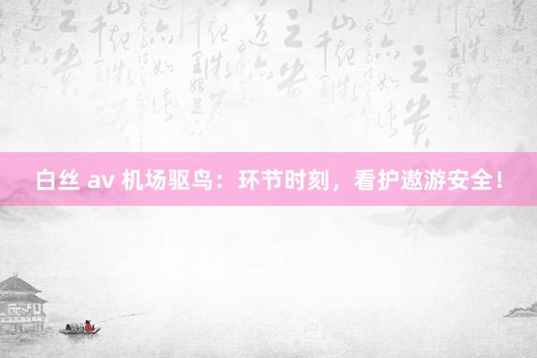 白丝 av 机场驱鸟：环节时刻，看护遨游安全！