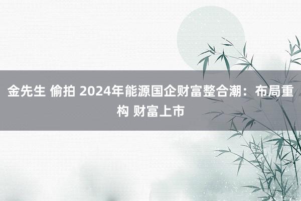 金先生 偷拍 2024年能源国企财富整合潮：布局重构 财富上市