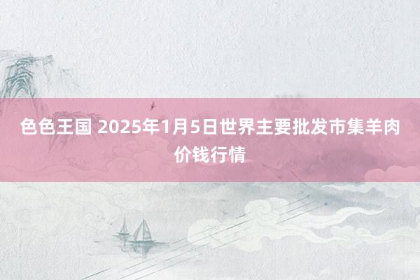 色色王国 2025年1月5日世界主要批发市集羊肉价钱行情