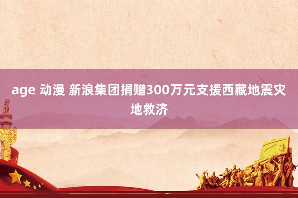 age 动漫 新浪集团捐赠300万元支援西藏地震灾地救济