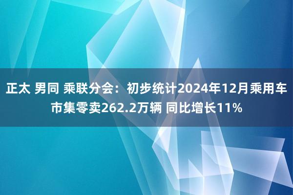 正太 男同 乘联分会：初步统计2024年12月乘用车市集零卖262.2万辆 同比增长11%