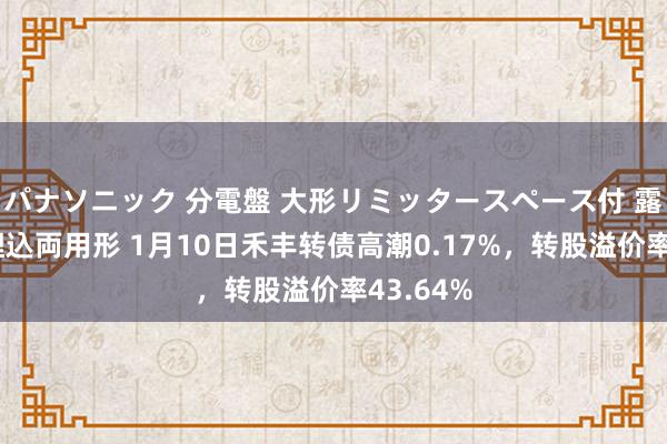 パナソニック 分電盤 大形リミッタースペース付 露出・半埋込両用形 1月10日禾丰转债高潮0.17%，转股溢价率43.64%