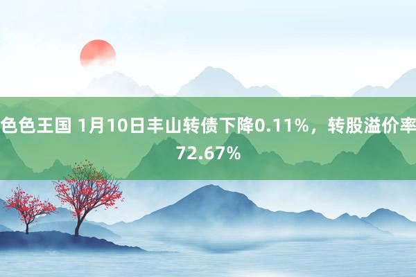 色色王国 1月10日丰山转债下降0.11%，转股溢价率72.67%