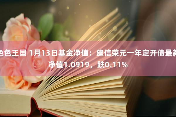 色色王国 1月13日基金净值：建信荣元一年定开债最新净值1.0919，跌0.11%