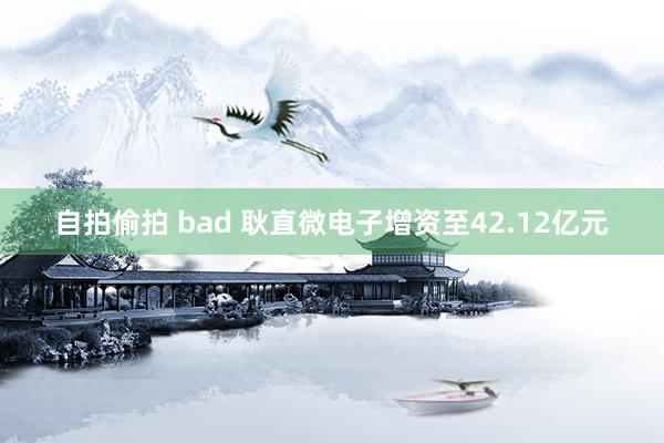 自拍偷拍 bad 耿直微电子增资至42.12亿元