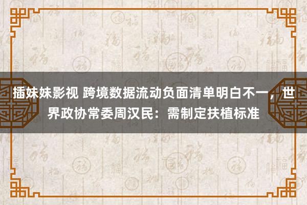 插妹妹影视 跨境数据流动负面清单明白不一，世界政协常委周汉民：需制定扶植标准
