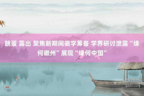 跳蛋 露出 聚焦新期间徽学筹备 学界研讨泄露“缘何徽州”展现“缘何中国”