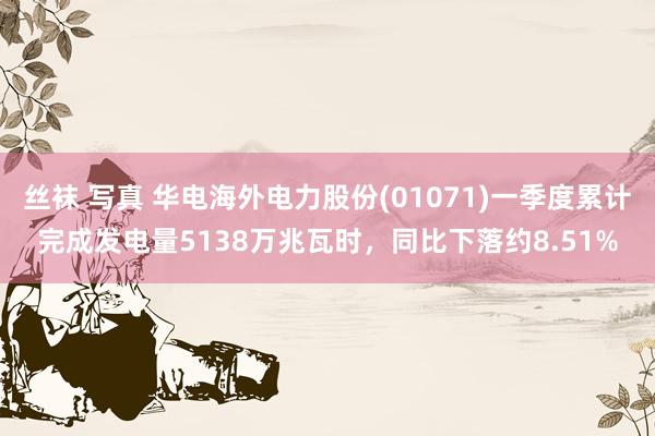 丝袜 写真 华电海外电力股份(01071)一季度累计完成发电量5138万兆瓦时，同比下落约8.51%