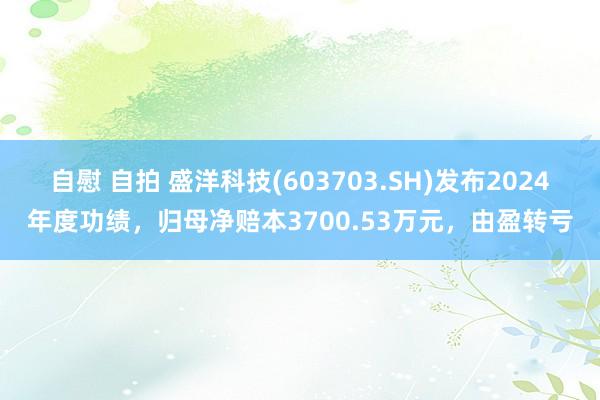 自慰 自拍 盛洋科技(603703.SH)发布2024年度功绩，归母净赔本3700.53万元，由盈转亏