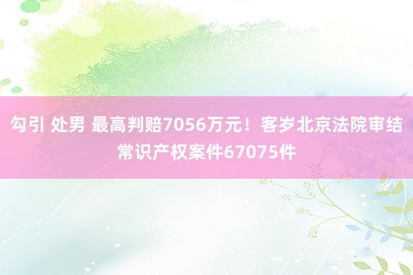 勾引 处男 最高判赔7056万元！客岁北京法院审结常识产权案件67075件